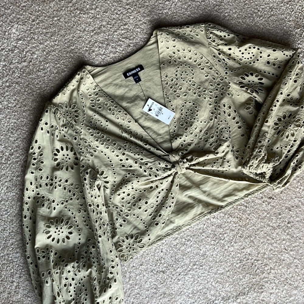 Express never worn, tags on, Tan Crop Top
